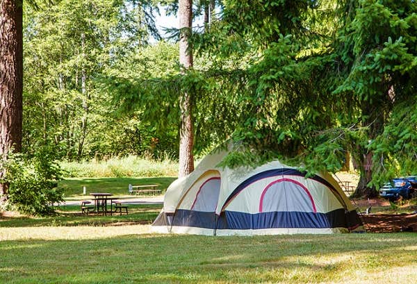 Camper submitted image from Thousand Trails Paradise - 5