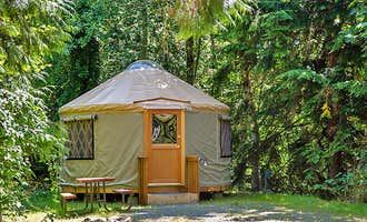 Camping near Trailer Inns RV Park (Bellevue): Tall Chief Campground, Fall City, Washington