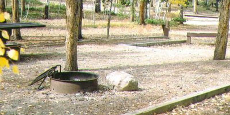 Camper submitted image from Kenosha Pass Campground