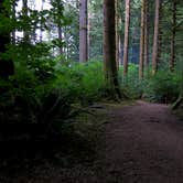 Review photo of Tillamook State Forest Nehalem Falls Campground by Spencer C., January 5, 2015
