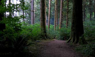 Camping near Timber Canyon Ranch: Tillamook State Forest Nehalem Falls Campground, Tillamook State Forest, Oregon