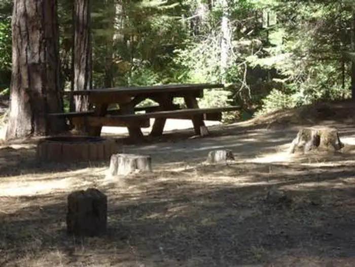 Camper submitted image from Eshom Campground - 1