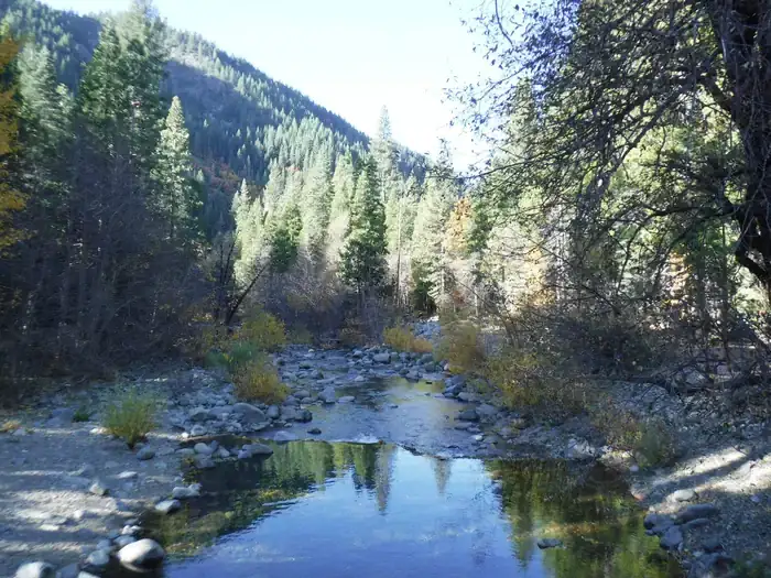 Camping near East Meadow Campground: Tahoe National Forest Wild Plum Campground, Sierra City, California