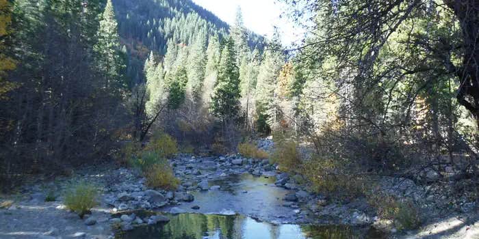 Camper submitted image from Tahoe National Forest Wild Plum Campground