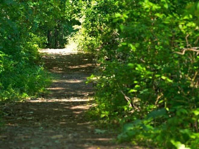 Camper-submitted photo at Fremont RV Campground near Kiel, WI