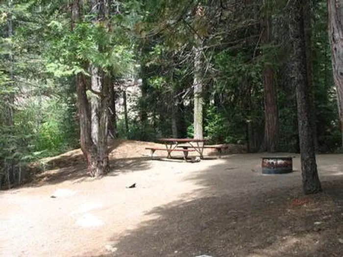 Camper submitted image from Capps Crossing - 1