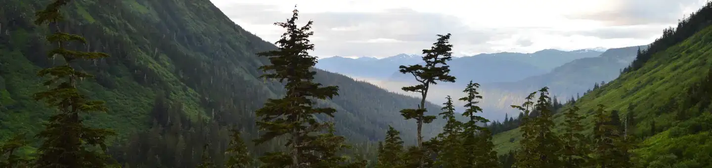 Camper-submitted photo at Dan Moller Cabin near Auke Bay, AK