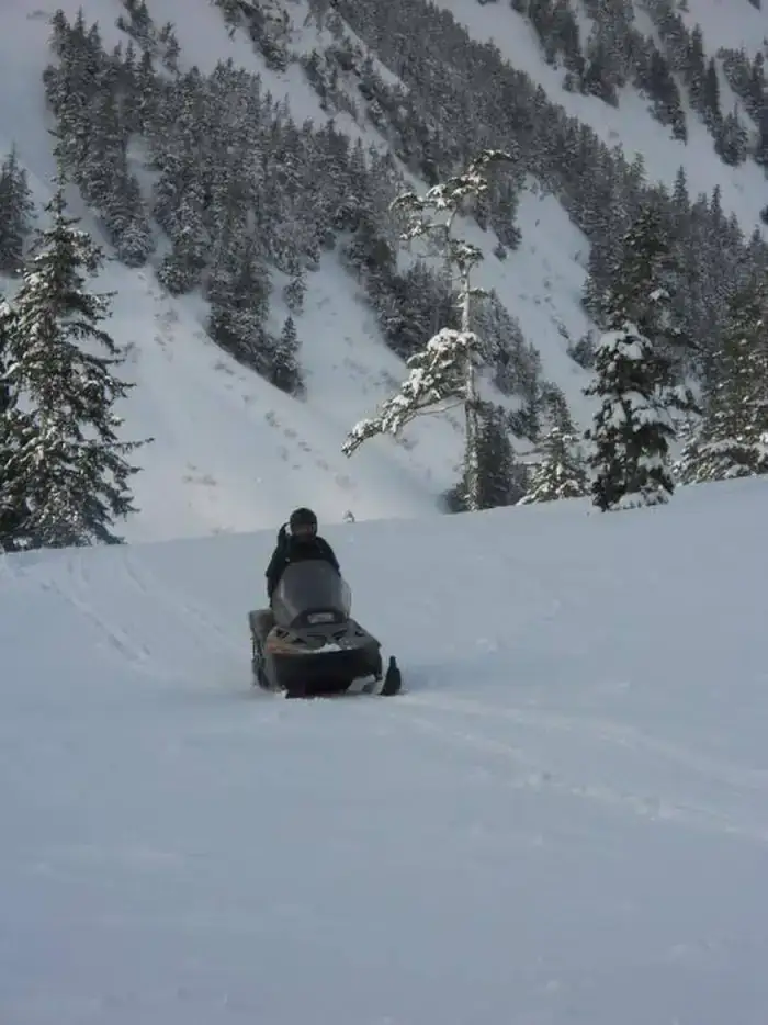 Camper-submitted photo at Dan Moller Cabin near Auke Bay, AK
