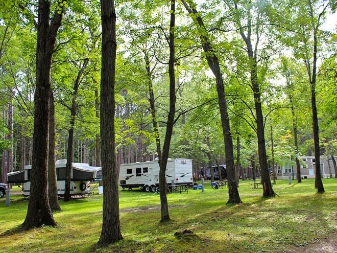Camper submitted image from Yukon Trails Camping Resort - 5