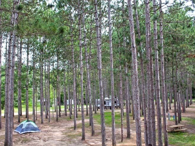 Camper submitted image from Yukon Trails Camping Resort - 2