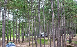 The Dyrt's photo at Yukon Trails Camping Resort near Friendship, WI