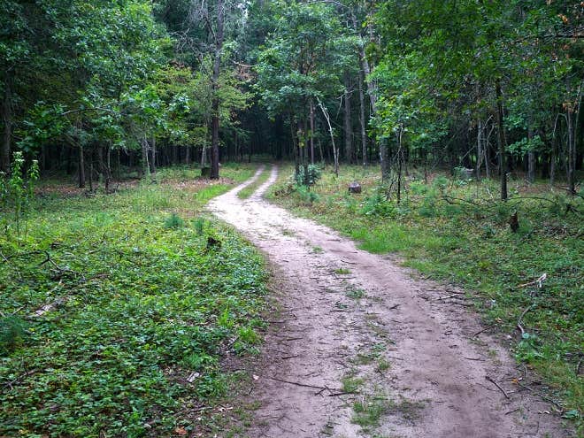Camper-submitted photo at Yukon Trails Camping Resort near Arlington, WI