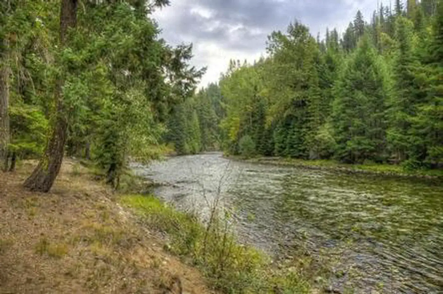 Camper-submitted photo at Soda Springs near Goose Prairie, WA