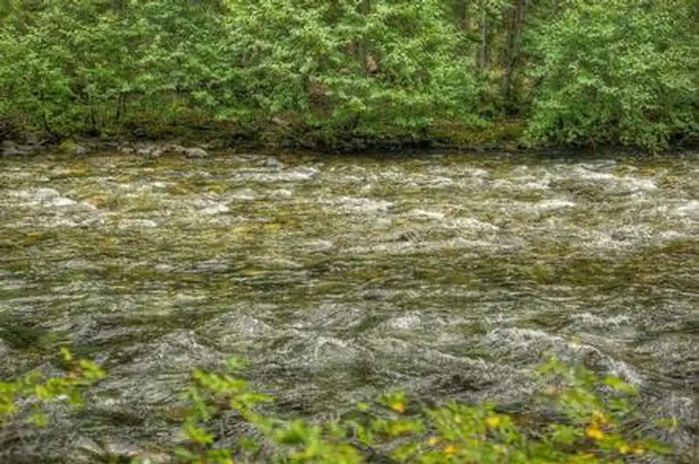 Camper-submitted photo at Soda Springs near Goose Prairie, WA