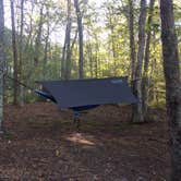 Review photo of Sweetwater Forest by Harrison G., September 26, 2016
