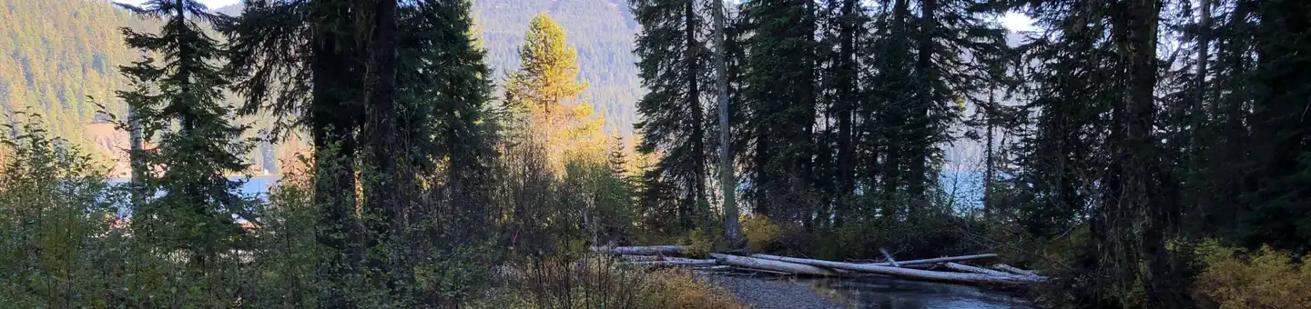 Camper-submitted photo at Trapper Creek Campground near Crescent, OR