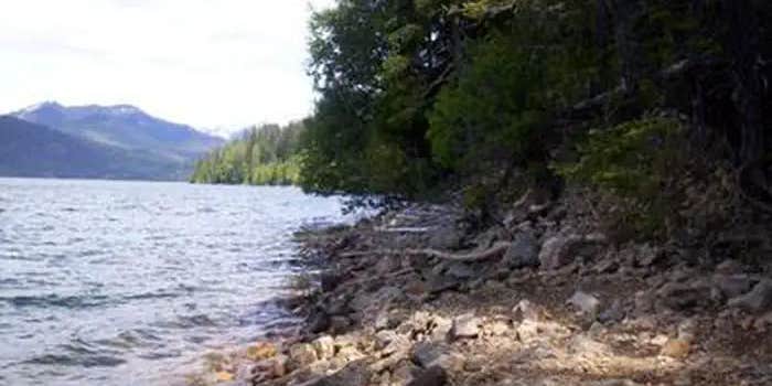 Camper submitted image from East Kachess Group Campground