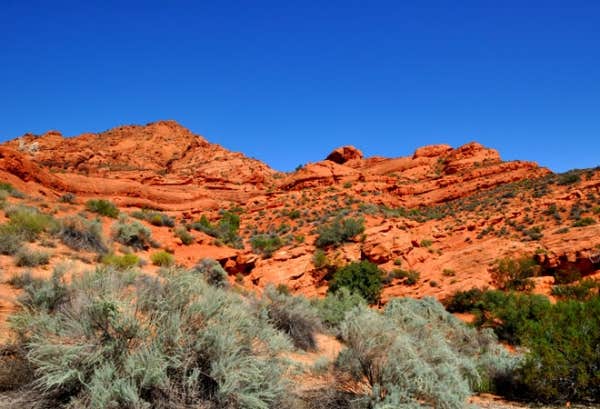 Camper-submitted photo at St. George / Hurricane KOA Journey near Ivins, UT