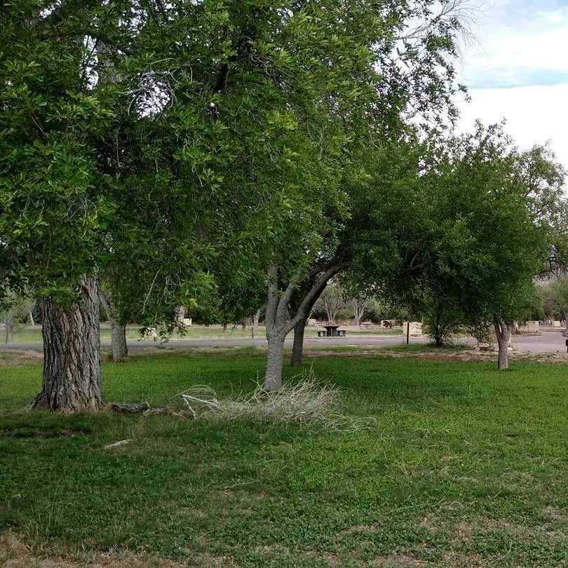 Rio Grande Village Group Campground — Big Bend National Park