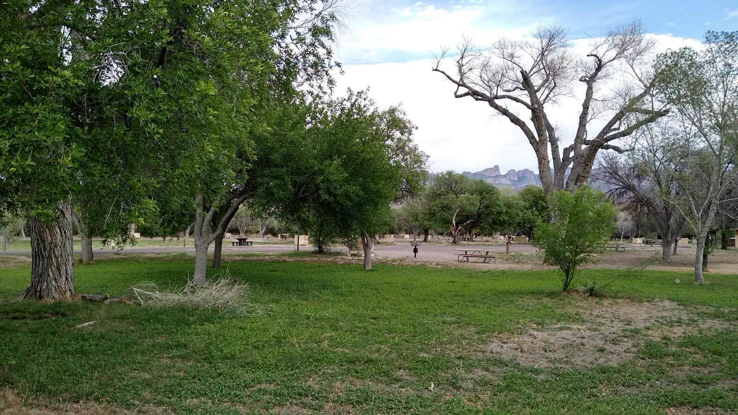 Camper submitted image from Rio Grande Village Group Campground — Big Bend National Park - 1