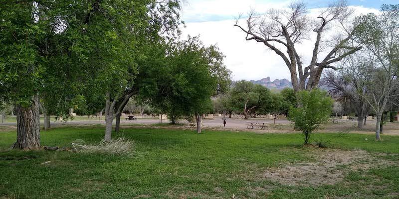 Camper submitted image from Rio Grande Village Group Campground — Big Bend National Park