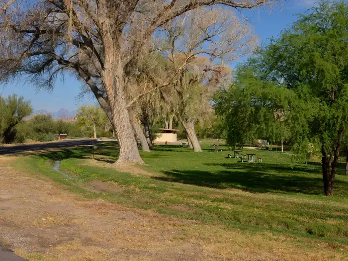 Camper-submitted photo at Rio Grande Village Group Campground — Big Bend National Park near Big Bend National Park