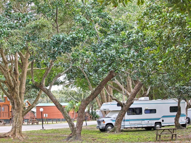 Camper submitted image from Encore Miami Everglades - 2