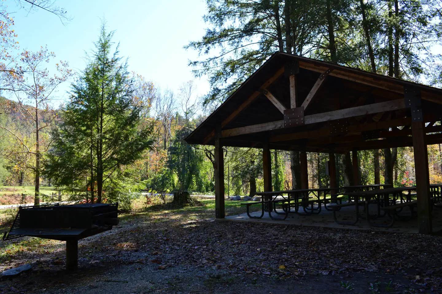 Camper submitted image from Mortimer Campground — National Forests In North Carolina - 1