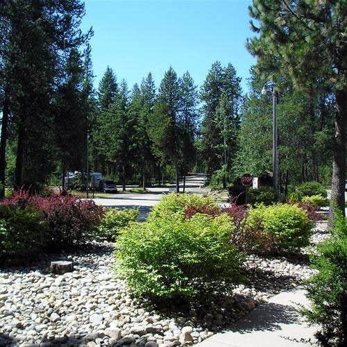 Camper-submitted photo at Thousand Trails Little Diamond near Kootenai, ID