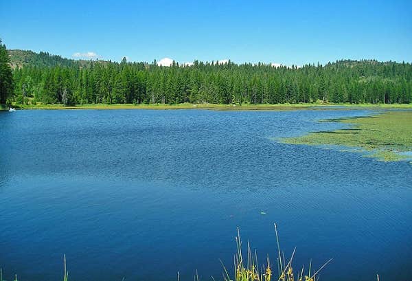 Camper-submitted photo at Thousand Trails Little Diamond near Kootenai, ID