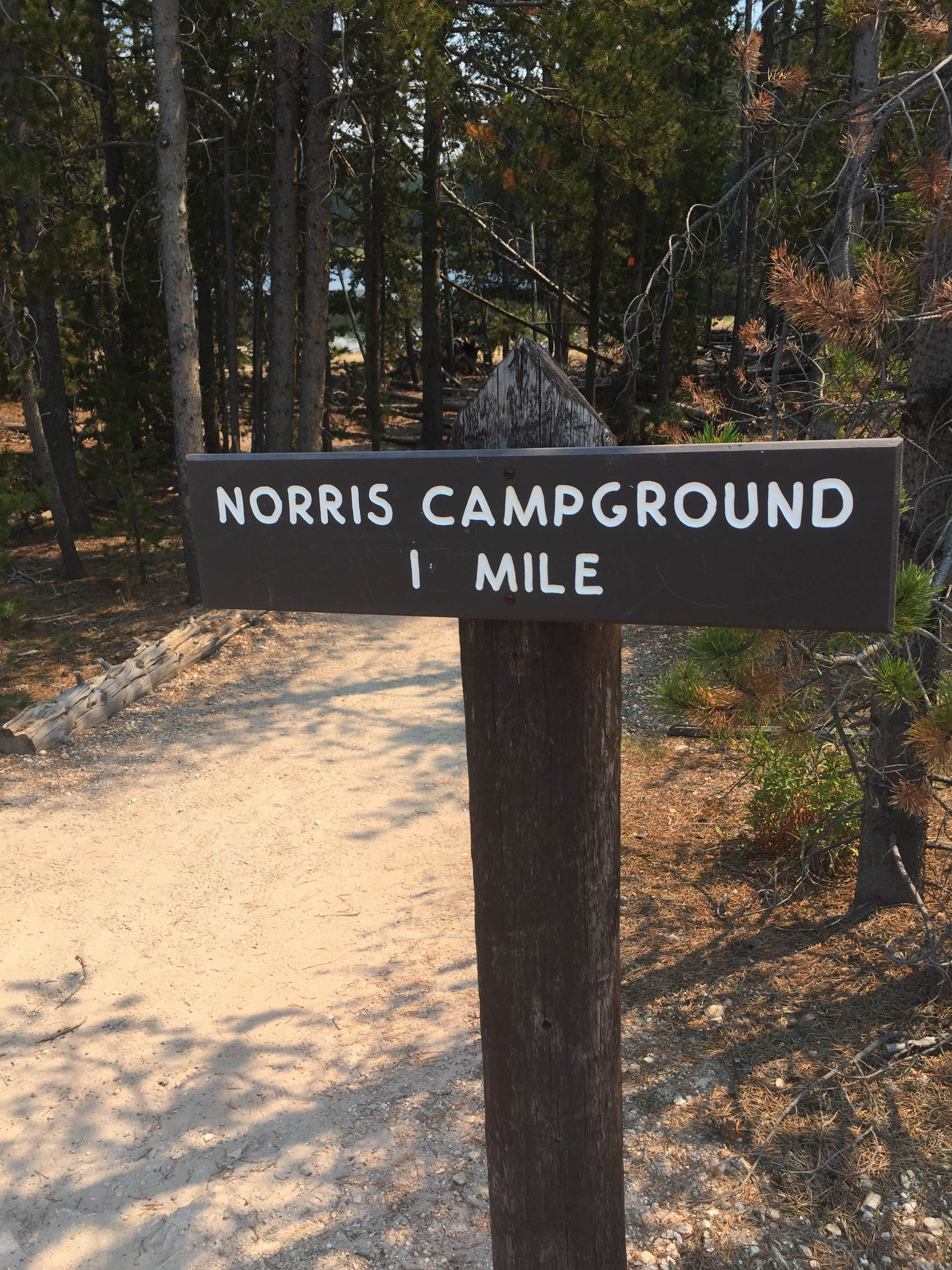 Camper submitted image from Norris Campground — Yellowstone National Park - TEMPORARILY CLOSED - 5