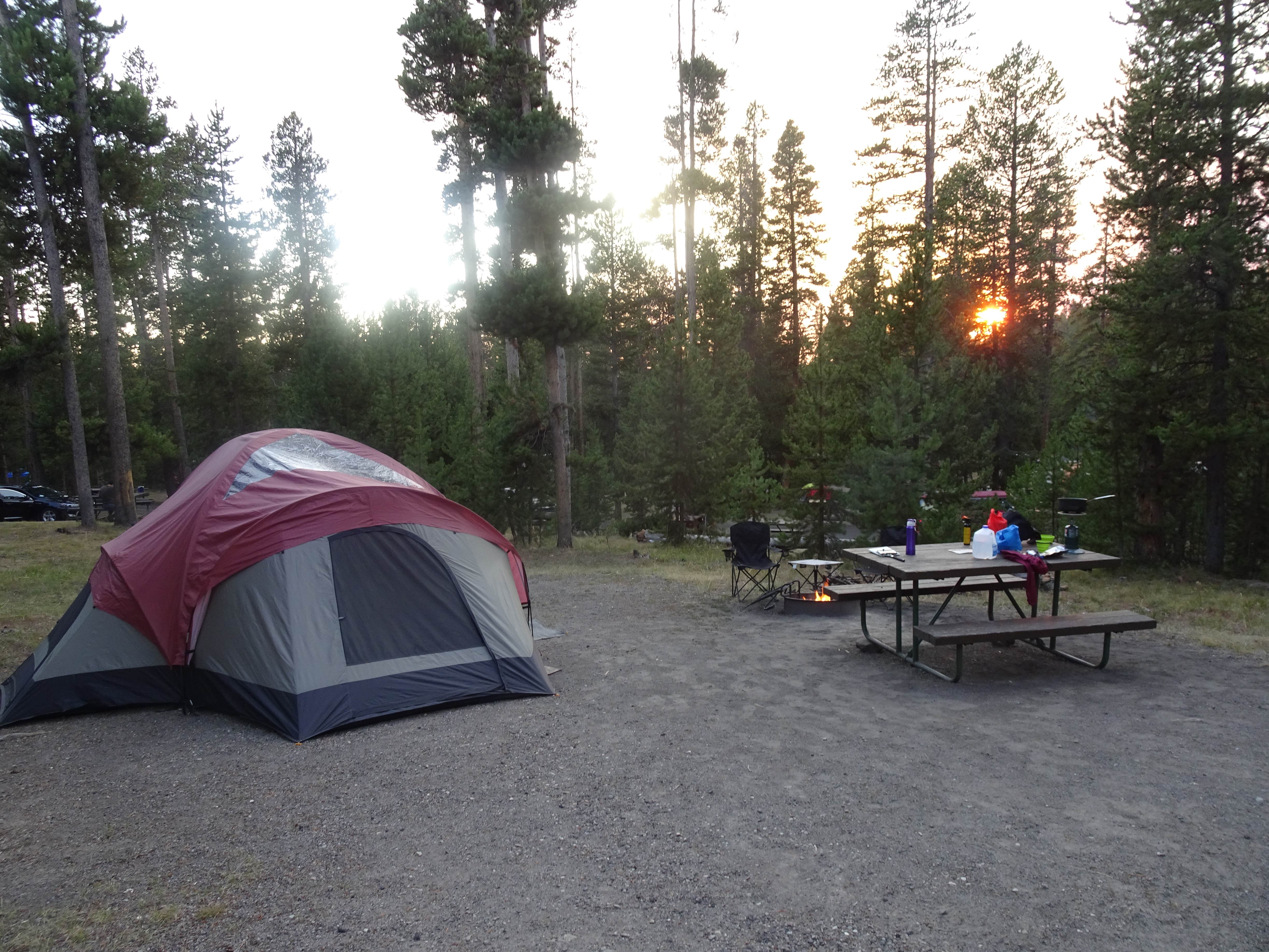 Camper submitted image from Norris Campground — Yellowstone National Park - TEMPORARILY CLOSED - 3