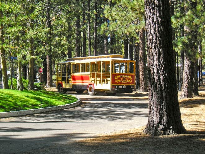 Camper submitted image from Tahoe Valley Campground - 1