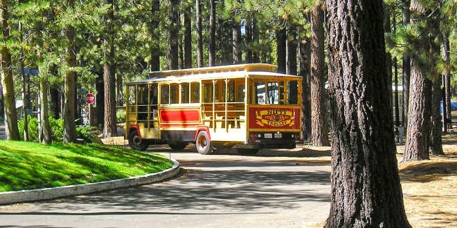 Camper submitted image from Tahoe Valley Campground