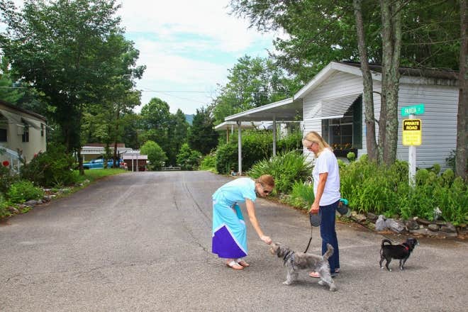 The Dyrt's photo of camping with pets at Scenic RV Park near Asheville, NC