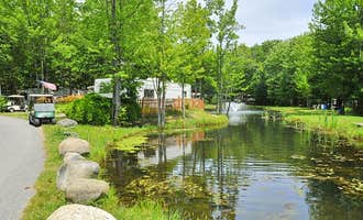 Camping near Homestead by the River Campground: Pinehirst RV Park, Saco, Maine