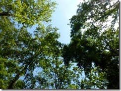 Camper submitted image from Gunter Hill - 2