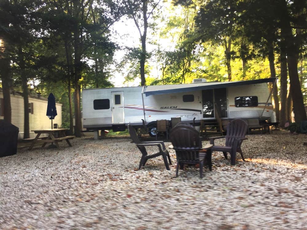 Camper submitted image from King Nummy Trail Campground - 4