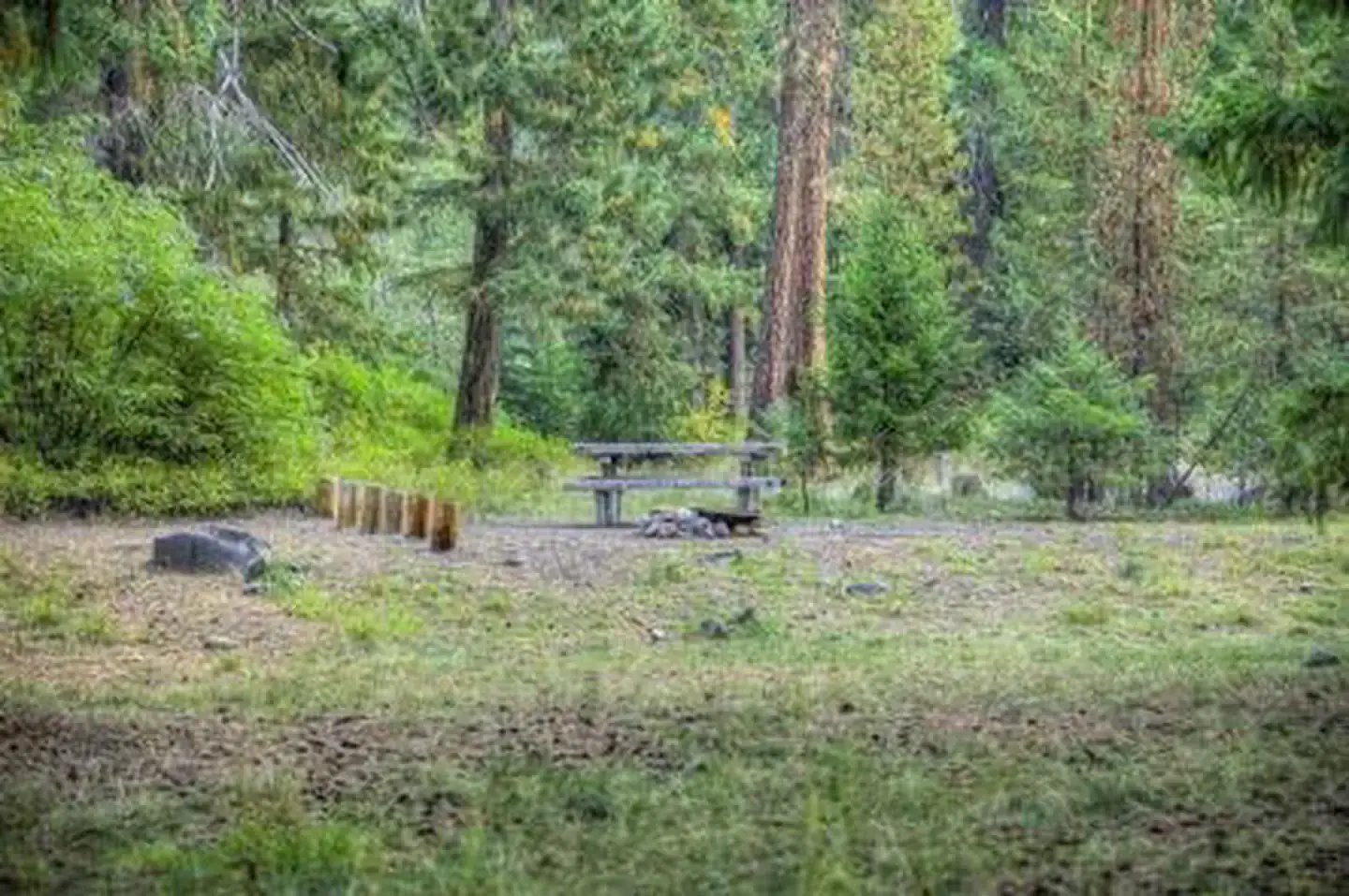 Camping near American Ridge Lodge: Little Naches Campground, Goose Prairie, Washington