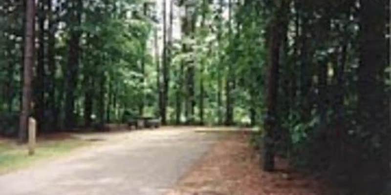 Camper submitted image from Dam Site River - Beaver Lake