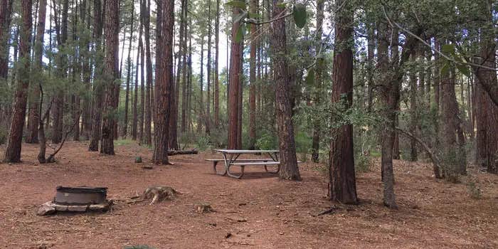 Camper submitted image from Ponderosa Campground (AZ) Tonto National Forest