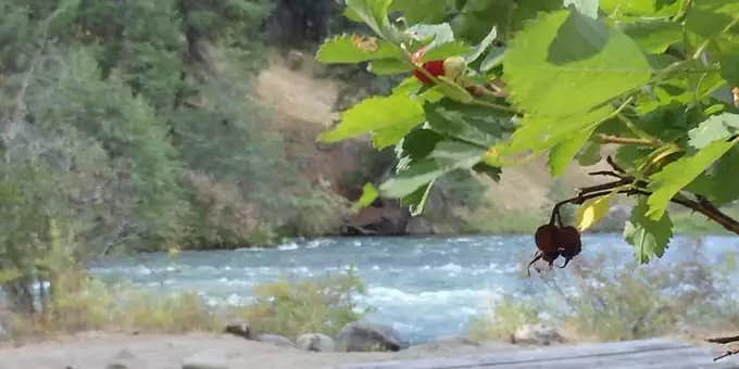 Camper submitted image from Hause Creek Campground