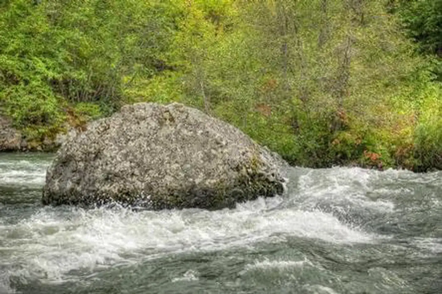 Camper-submitted photo at Hause Creek Campground near White Pass, WA