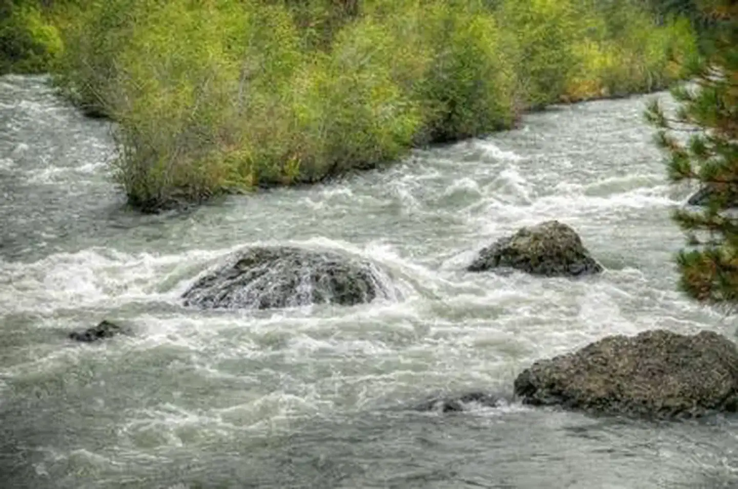 Camper-submitted photo at Hause Creek Campground near White Pass, WA