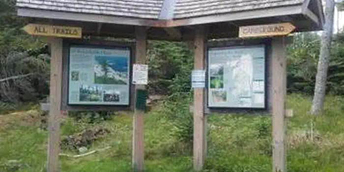 Camper submitted image from Duck Harbor Campground — Acadia National Park