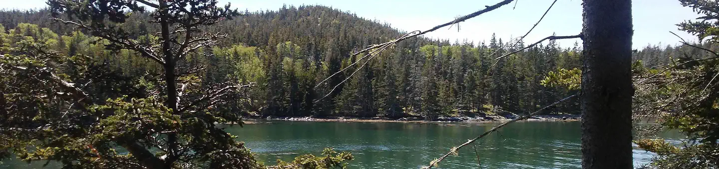 Camper-submitted photo at Duck Harbor Campground — Acadia National Park near Alna, ME