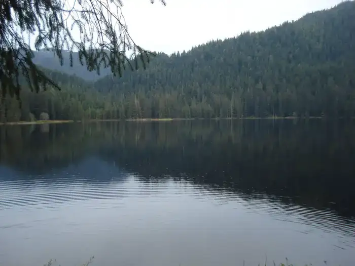 Camper-submitted photo at Jordan Lake Cabin near Ketchikan, AK