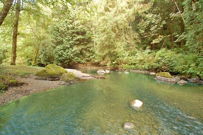 Camper-submitted photo at Friday Creek Campground near Coupeville, WA