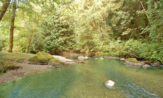 Camping near Bay View State Park Campground: Friday Creek Campground, Bow, Washington