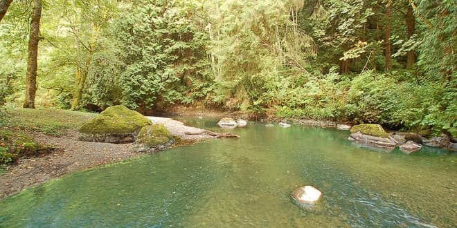 Camper submitted image from Friday Creek Campground